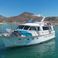 Defever 53 | Casiupe