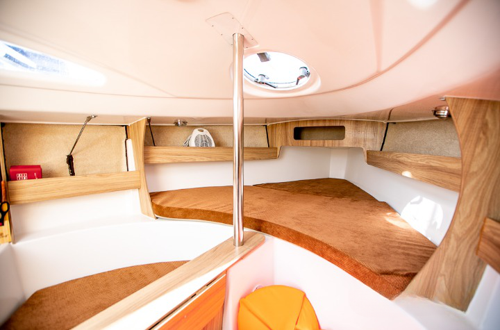 Sasanka Viva 700 | V2