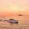 Omikron OT60 | Lady D