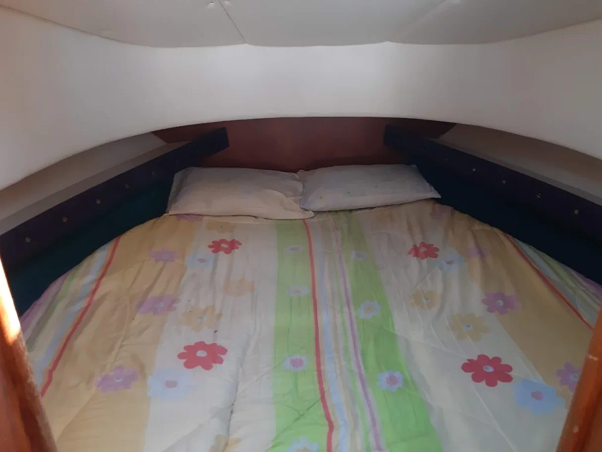 Gulf Craft Sea Breeze WA 33 | Kiti Kiti