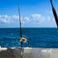 Boston Whaler 420 Outrage | High Tide