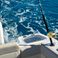 Boston Whaler 420 Outrage | High Tide