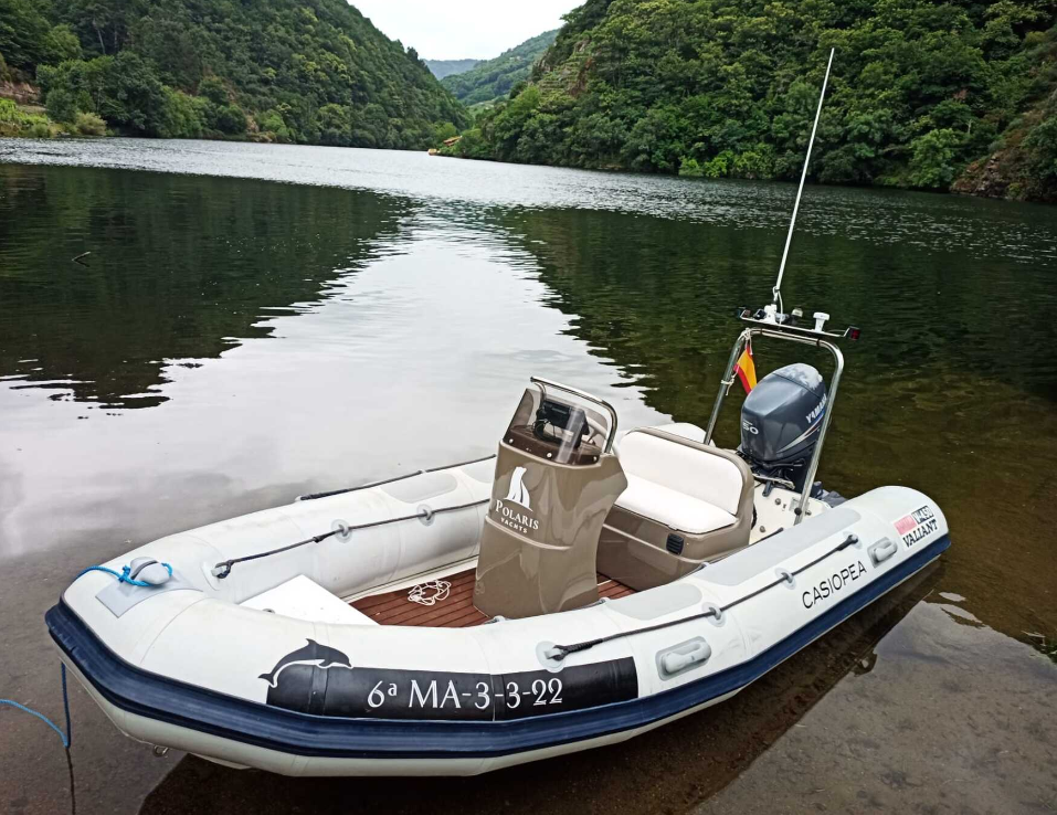 Valiant 450 | Casiopea