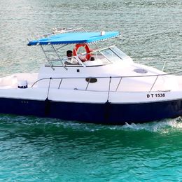 Gulf Craft 31 Walkaround | The Afsare One