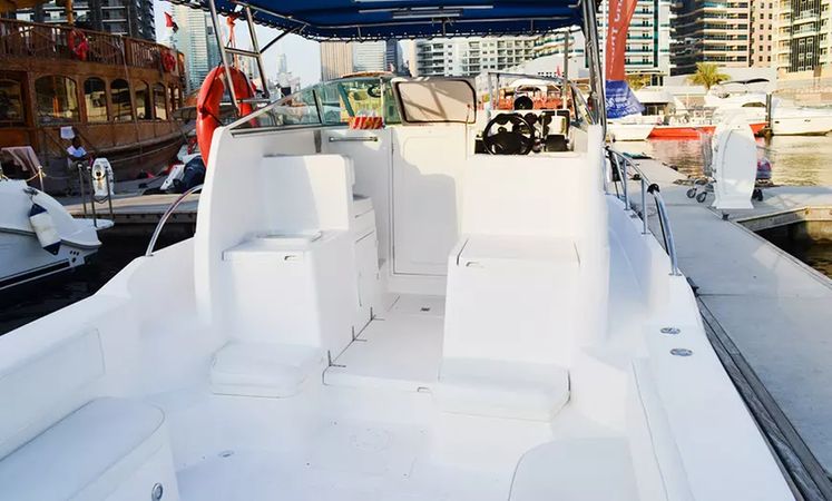 Gulf Craft 31 Walkaround | The Afsare One