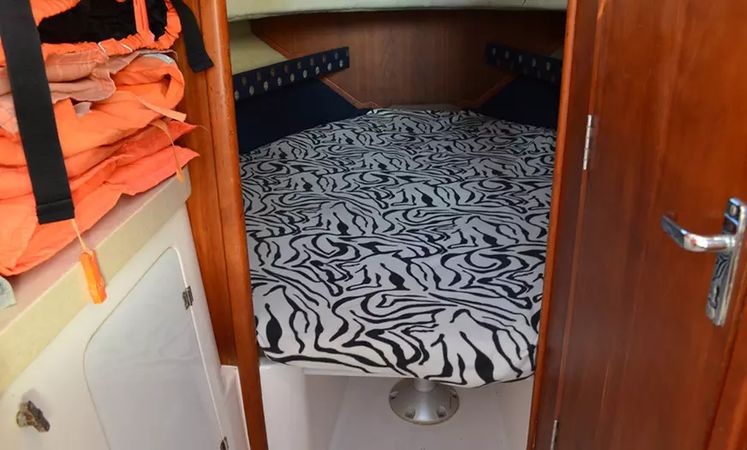 Gulf Craft 31 Walkaround | The Afsare One