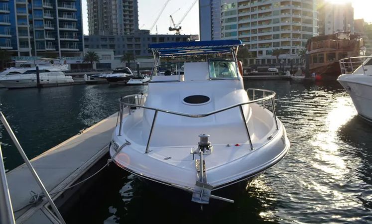 Gulf Craft 31 Walkaround | The Afsare One