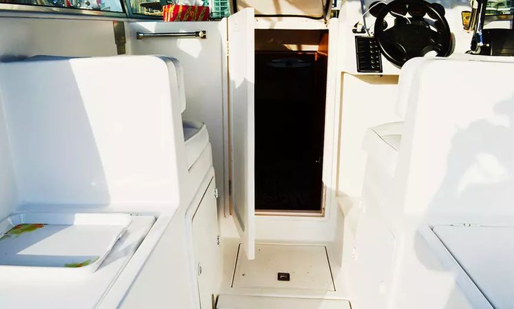 Gulf Craft 31 Walkaround | The Afsare One