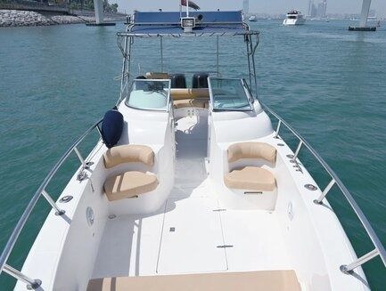 Silvercraft 33 | MiniYacht