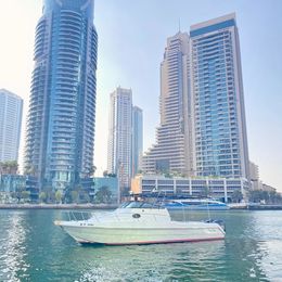 Gulf Craft 31 Walkaround | DT1191