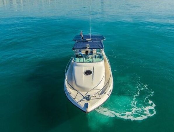Gulf Craft 31 Walkaround | DT1191