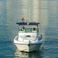 Gulf Craft 31 Walkaround | DT1191