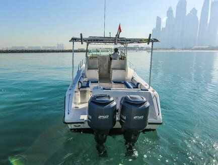 Gulf Craft 31 Walkaround | DT1191