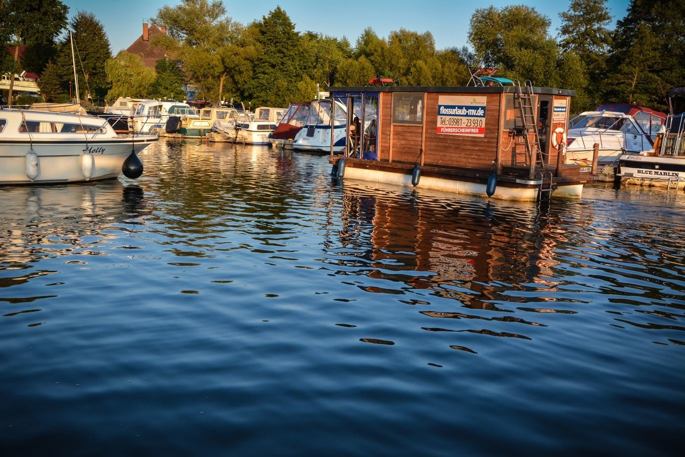 Floss D7 | Wolzig 01