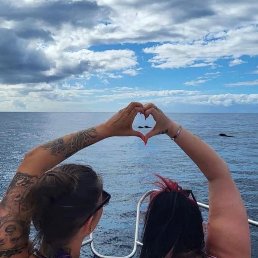 Princess 440 | Royal Ocean