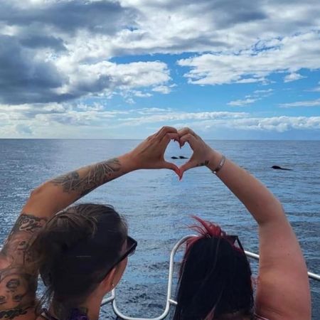 Princess 440 | Royal Ocean