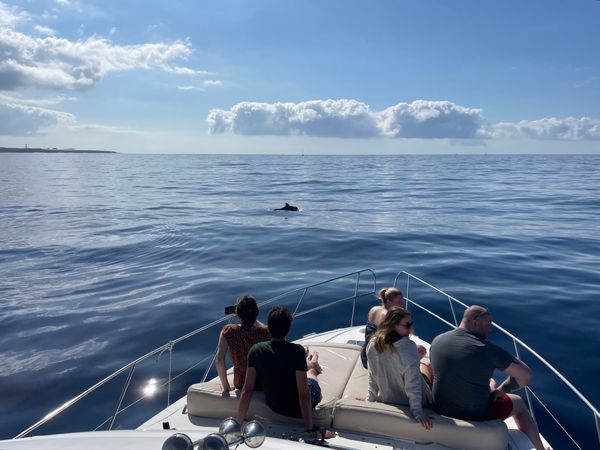 Princess 440 | Royal Ocean