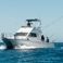 Cata 356 Sportfisherman | Fish on