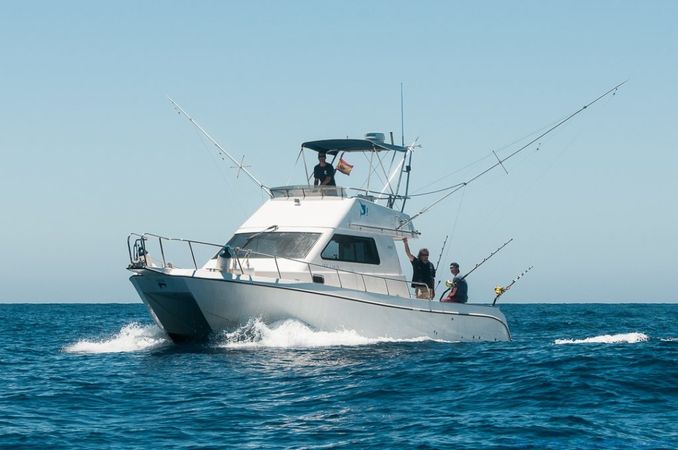 Cata 356 Sportfisherman | Fish on