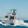 Cata 356 Sportfisherman | Fish on