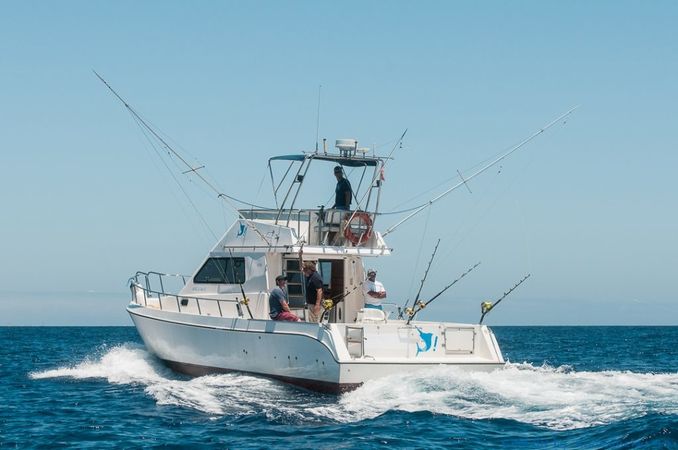 Cata 356 Sportfisherman | Fish on