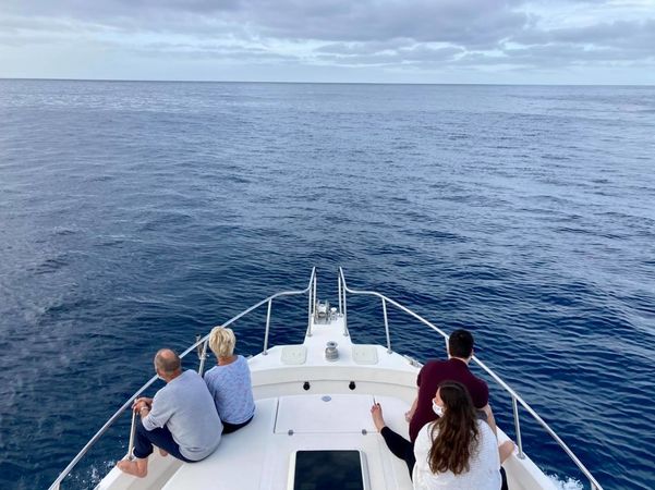 Cata 356 Sportfisherman | Fish on