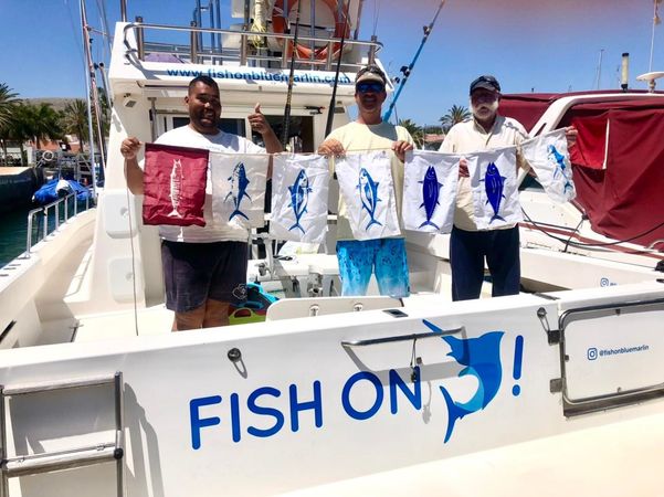 Cata 356 Sportfisherman | Fish on