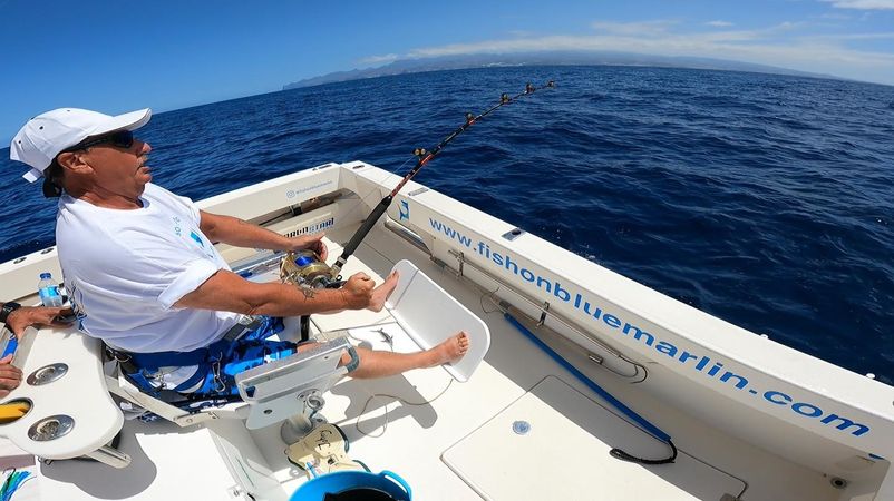 Cata 356 Sportfisherman | Fish on