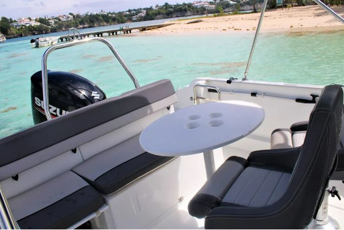 Jeanneau Cap Camarat 6.5 CC | Ceryse