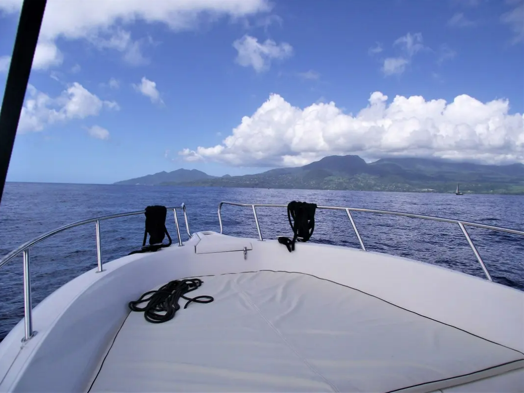 White Shark 226 Open | Papaya
