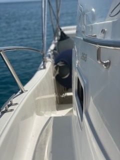 Kelt White Shark | White Shark