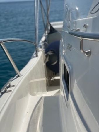 Kelt White Shark | White Shark