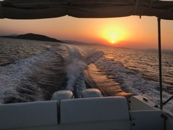 Kelt White Shark | White Shark