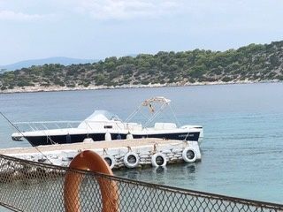 Kelt White Shark | White Shark