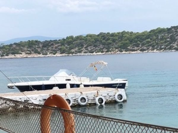 Kelt White Shark | White Shark