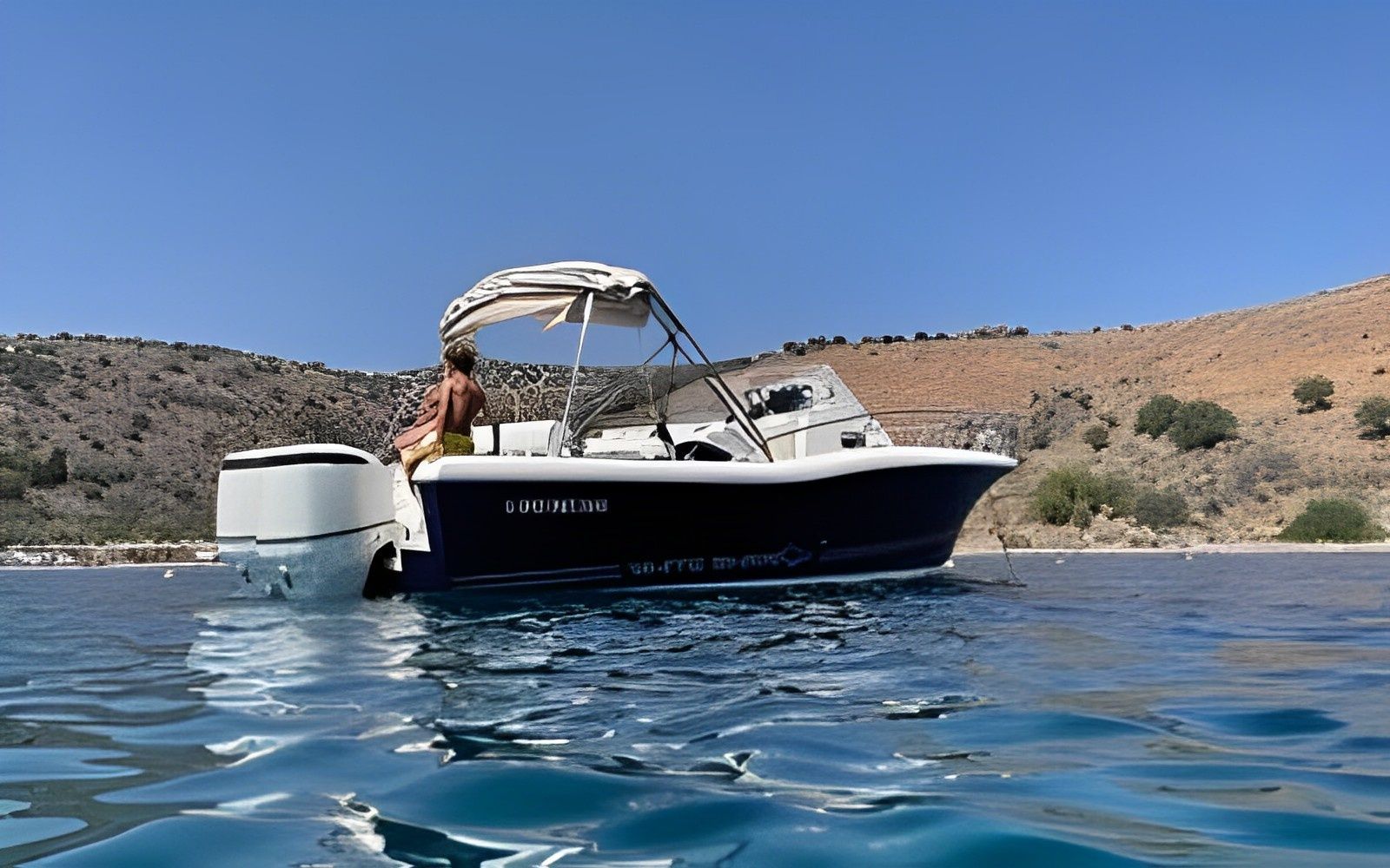 Kelt White Shark | White Shark