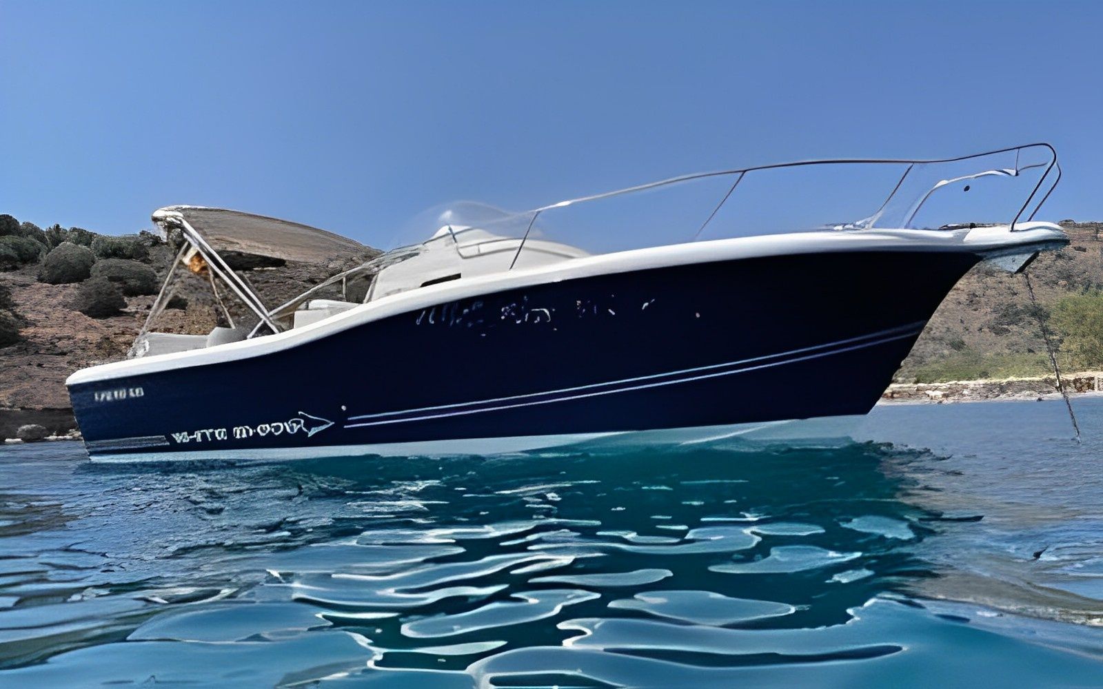 Kelt White Shark | White Shark