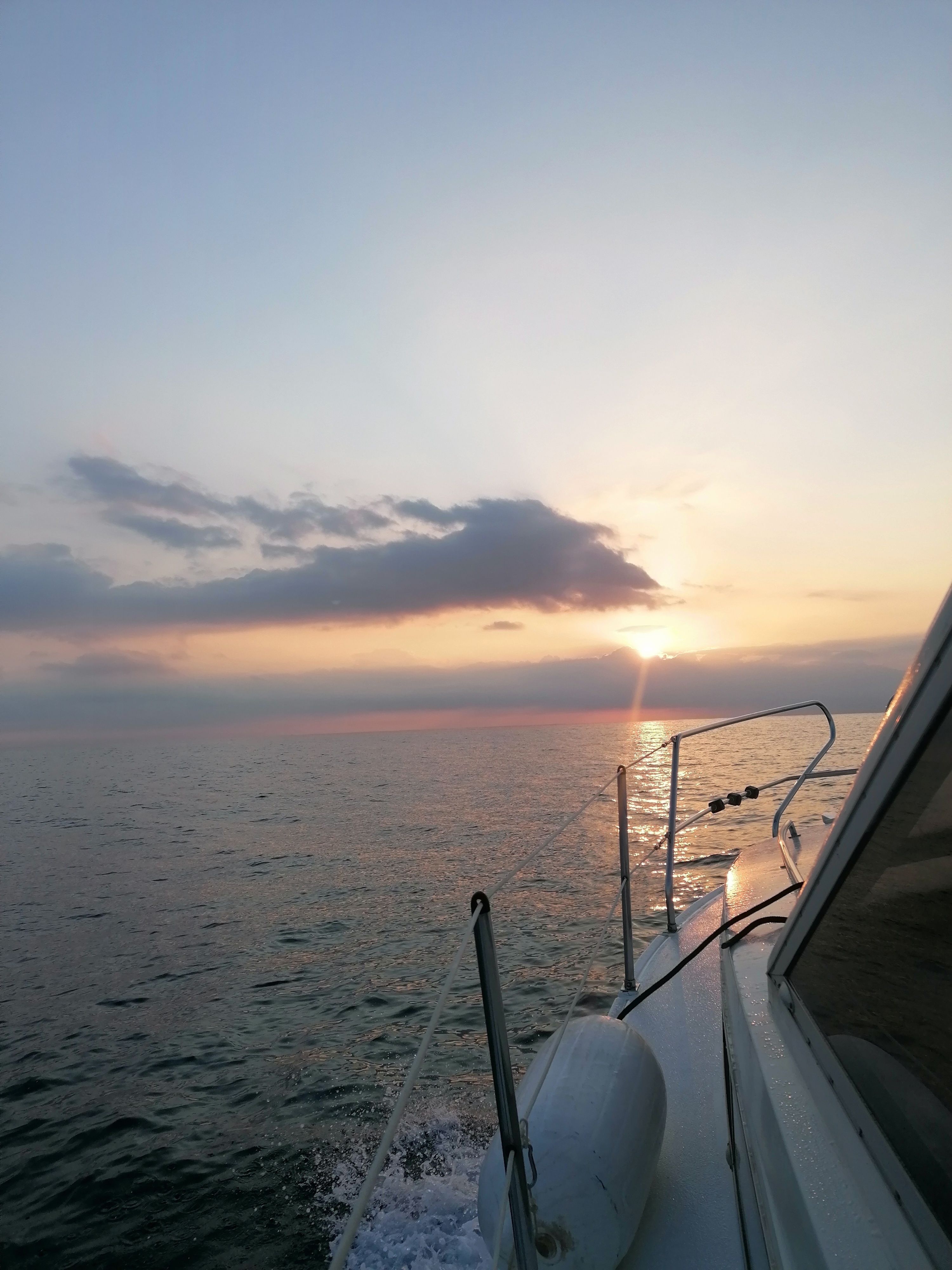 Princess 30DS Fly | Tirant 4