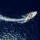 Jeanneau Merry Fisher 795 | 22