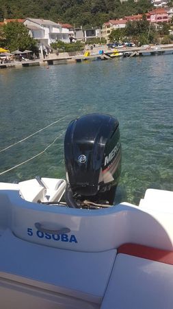 Bayliner Element | Pjenica