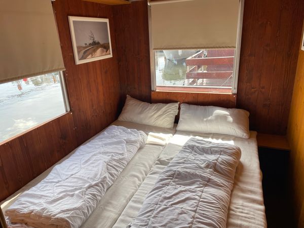 Tom Sawyer TS1000 | Pingu