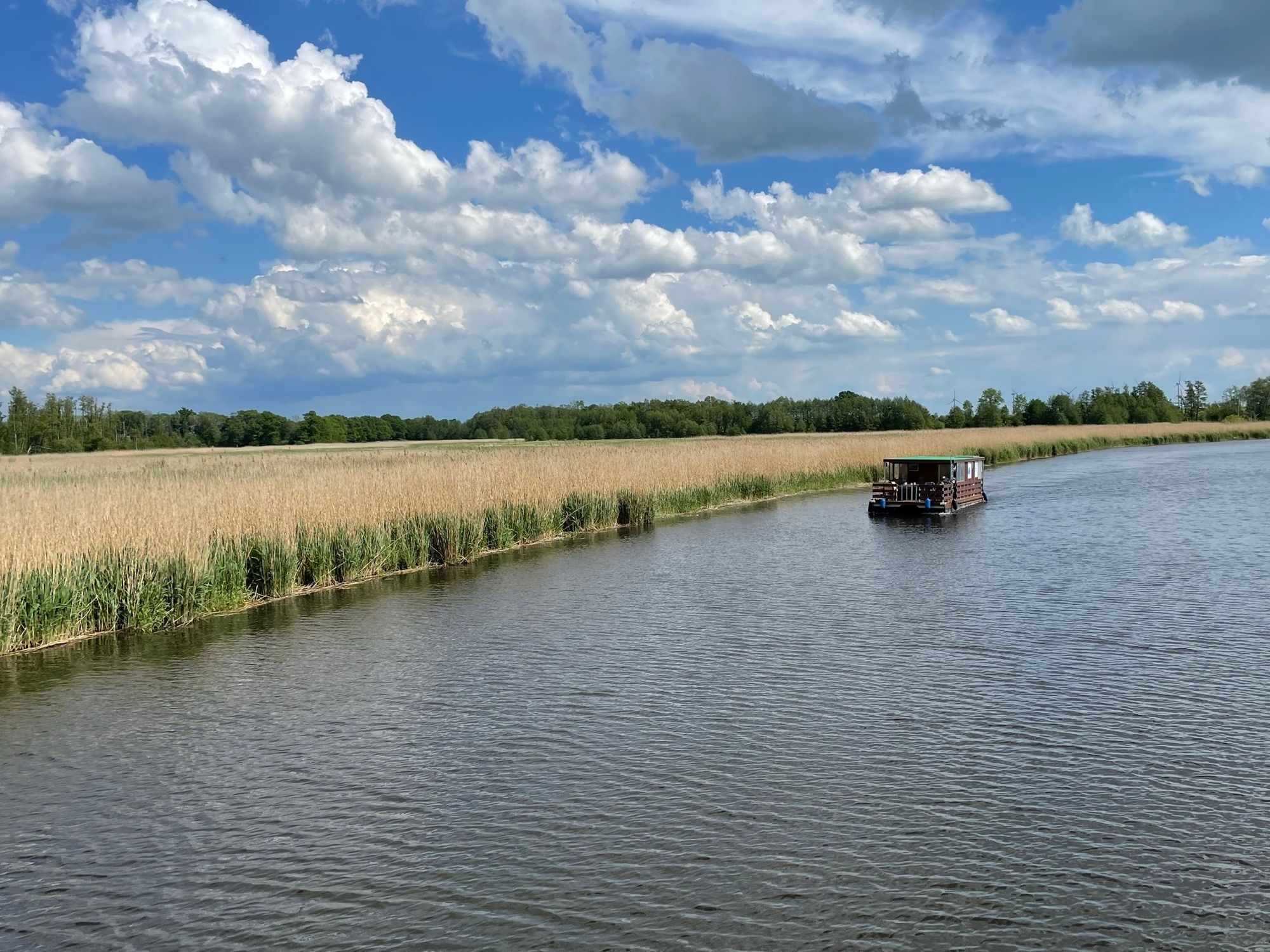 Tom Sawyer TS1000 | Pingu