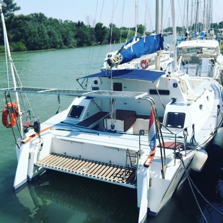 Petrachi 32 | Maui