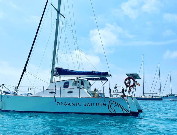Petrachi 32 | Maui