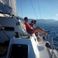 Petrachi 32 | Maui