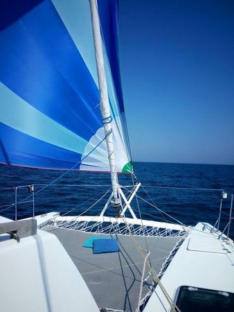 Petrachi 32 | Maui