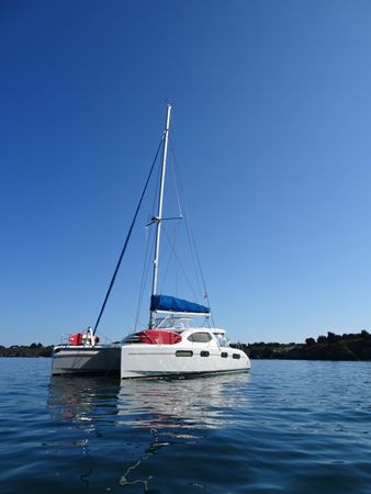 Leopard 46 | Mahi Mahi