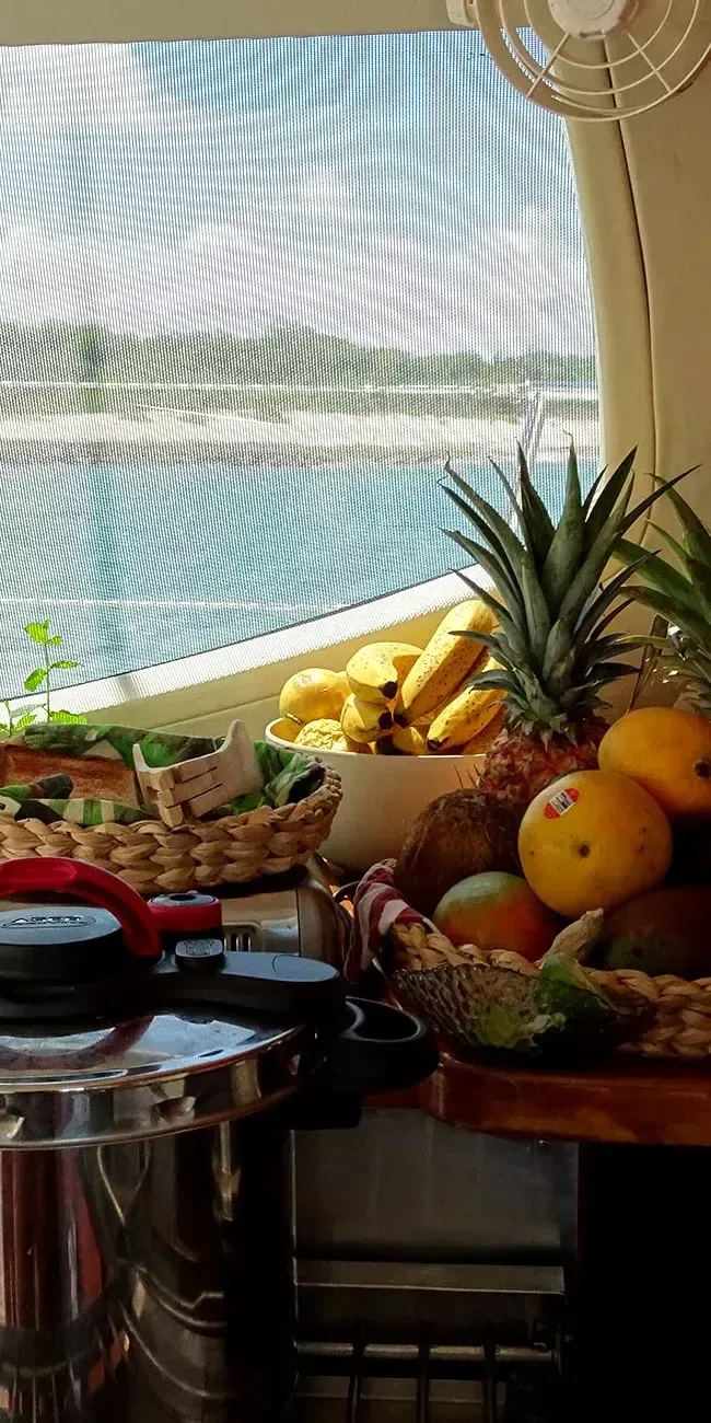 Leopard 46 | Mahi Mahi