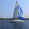 Beneteau First 31.7 | Avispa 3