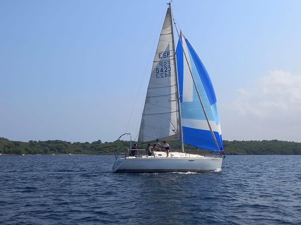 Beneteau First 31.7 | Avispa 3